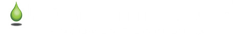 Instant Immersion VT - your choice for educational language learning